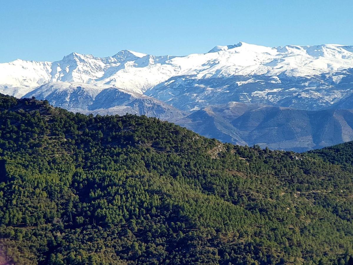 Appartamento Rincon Del Genil Cenes De La Vega Esterno foto