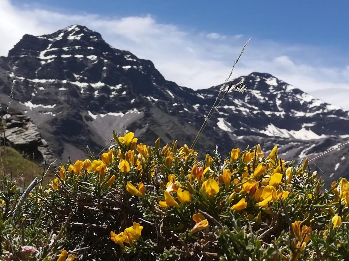 Appartamento Rincon Del Genil Cenes De La Vega Esterno foto